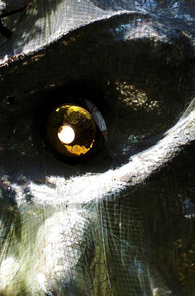 Cyclop – image 2