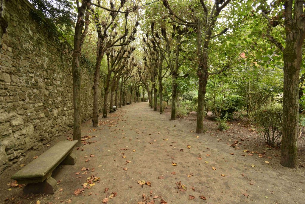 Cité épiscopale – image 2