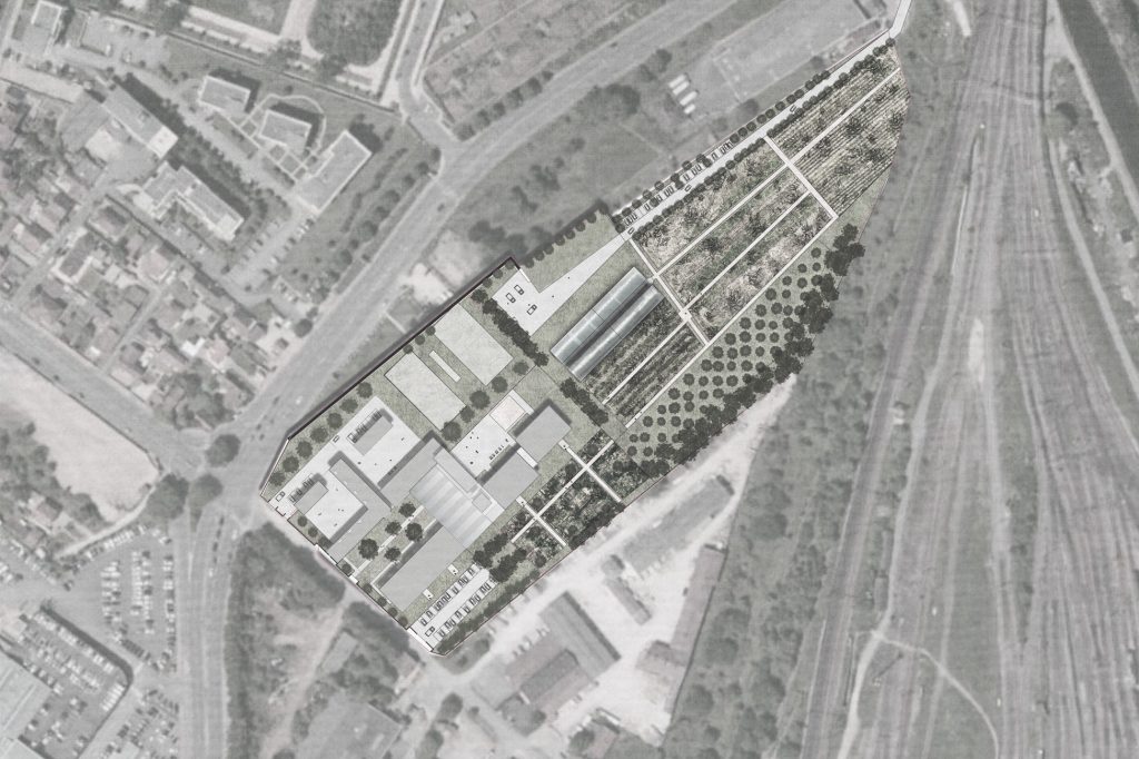 Dijon – image 1